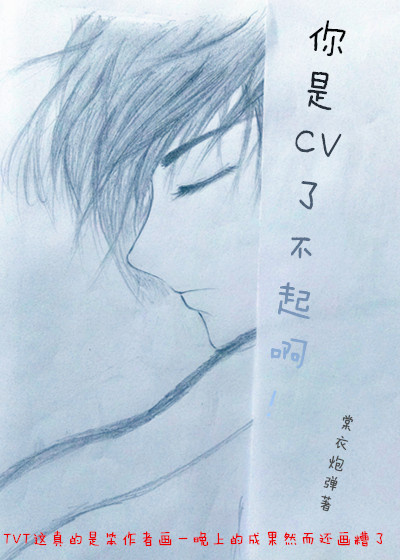 《你是CV了不起啊！》 作者：棠衣炮弹 txt文件大小：505.41 KB