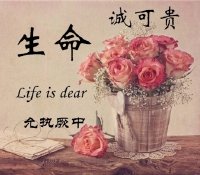 《生命诚可贵》 作者：允执厥中 txt文件大小：67.39 KB