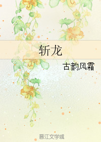 《（霹雳同人）斩龙》 作者：古韵风霜 txt文件大小：89.3 KB