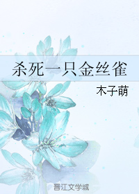 《杀死一只金丝雀》 作者：木子萌 txt文件大小：519.16 KB