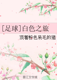 《（足球同人）白色之旅》 作者：顶着粉色呆毛的猪 txt文件大小：1.16 MB