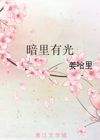 《暗里有光》 作者：姜哈里 txt文件大小：107.03 KB