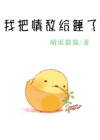 《王妃外传－我把情敌给睡了》 作者：晴雨猫猫 txt文件大小：109.63 KB