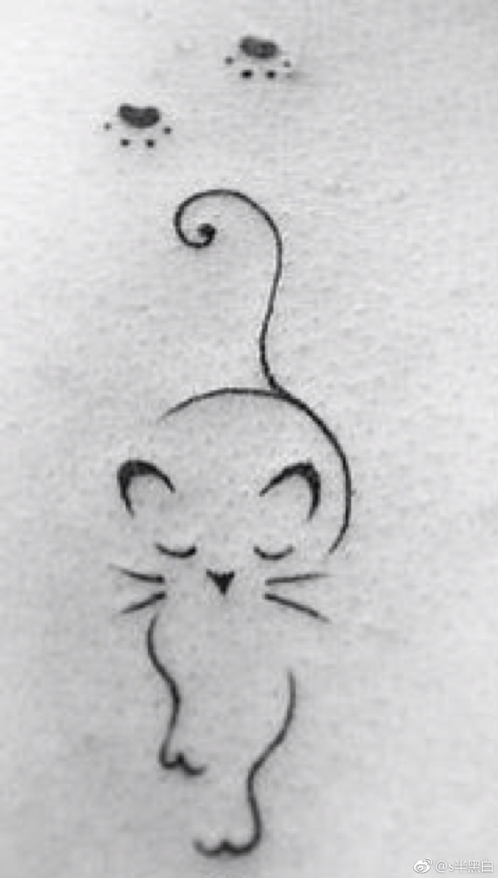 《高冷总裁原来是粘人猫啊》 作者：半黑白 txt文件大小：31.69 KB