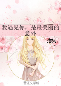 《我遇见你，是最美丽的意外》 作者：雒枫 txt文件大小：346.07 KB