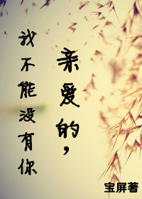 《亲爱的，我不能没有你》 作者：宝屏 txt文件大小：160.52 KB