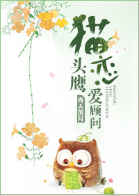 《猫头鹰恋爱顾问》 作者：青天揽月 txt文件大小：199.54 KB