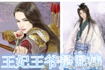 《王妃王爷是兄妹》 作者：高仓颉 txt文件大小：1022.65 KB