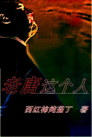 《老唐这个人》 作者：西红柿炖茄丁 txt文件大小：601.89 KB