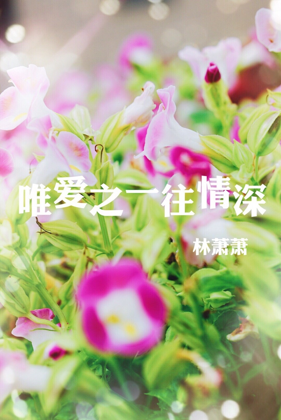 《唯爱之一往情深》 作者：林萧萧 txt文件大小：187.15 KB