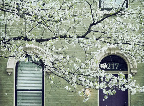 《愿你被这世界温柔以待》 作者：浮世千重变 txt文件大小：797.13 KB