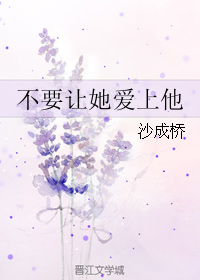 《不要让她爱上他》 作者：沙成桥 txt文件大小：332.94 KB