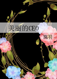 《美丽的CEO》 作者：施羽 txt文件大小：626.99 KB