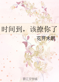 《时间到，该撩你了》 作者：花开未眠 txt文件大小：194.45 KB