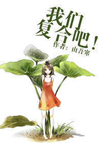 《我们复合吧！》 作者：由吾寒 txt文件大小：285.21 KB