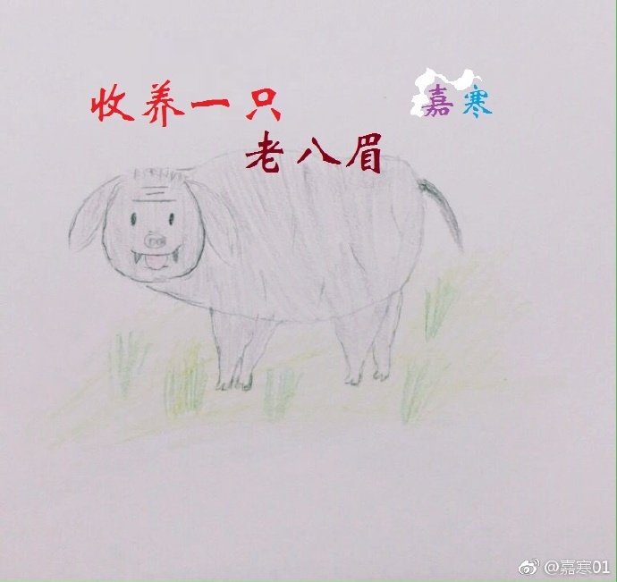 《收养一只老八眉》 作者：嘉寒 txt文件大小：92.71 KB