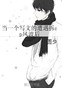《当一个写文的遭遇拆cp风波后》 作者：圆少 txt文件大小：28.52 KB
