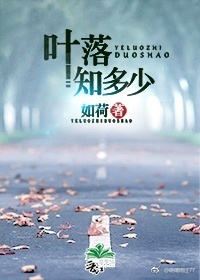 《叶落知多少》 作者：如荷 txt文件大小：214.91 KB