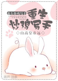 《重生炒鸡写手》 作者：山高皇帝远 txt文件大小：540.89 KB