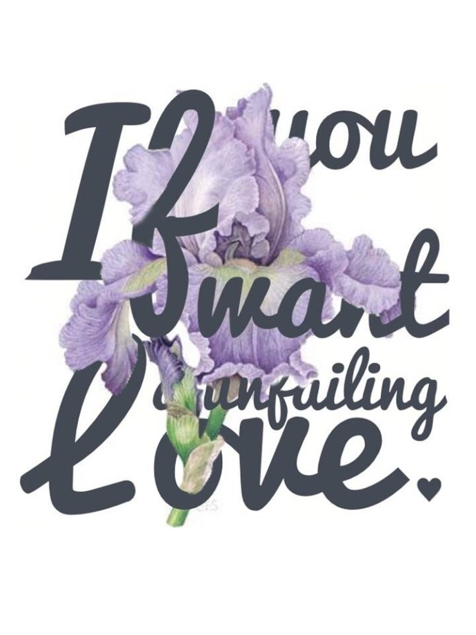 《如果你喜欢至死不渝的爱情》 作者：nacoo txt文件大小：450.63 KB