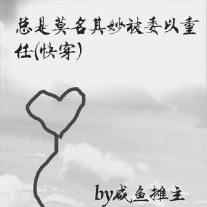 《总是莫名其妙被委以重任（快穿）》 作者：咸鱼摊主 txt文件大小：429.44 KB