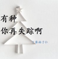 《有种你再失踪啊》 作者：丁葵柏子仁 txt文件大小：126.14 KB