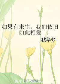 《如果有来生，我们依旧如此相爱》 作者：秋华 txt文件大小：217.66 KB