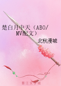 《（综同人）楚白月中天（ABOMV配文）》 作者：北秋漫城 txt文件大小：64.77 KB