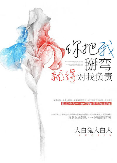 《你把我掰弯就得对我负责》 作者：大白兔大白大 txt文件大小：367.68 KB