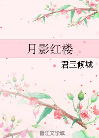 《月影红楼》 作者：君玉倾城 txt文件大小：343.58 KB