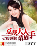 《火爆妈咪：总裁大人请放手》 作者：豆丁丁 txt文件大小：679 KB