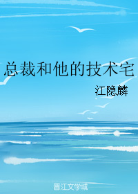 《总裁和他的技术宅》 作者：江隐麟 txt文件大小：49.98 KB