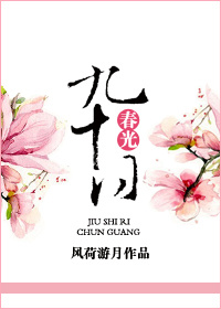 《九十日春光》 作者：风荷游月 txt文件大小：588.07 KB