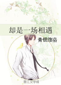《却是一场相遇》 作者：青银维洛 txt文件大小：135.32 KB