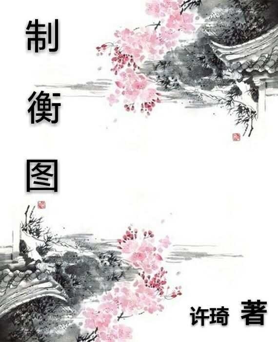 《制衡图》 作者：许琦 txt文件大小：613.95 KB