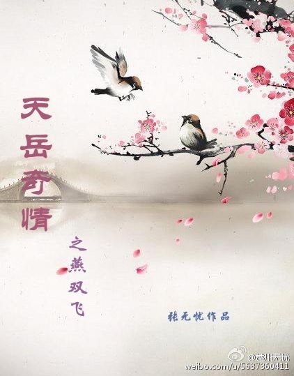 《天岳奇情之风起边塞》 作者:张无忧 txt文件大小:730.11 KB