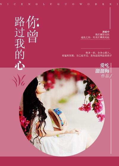 《你曾路过我的心》 作者：爱吃溜溜梅 txt文件大小：1.29 MB