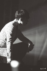 《（韩娱同人）重生之鹿晗妹妹》 作者：凉未久 txt文件大小：271.43 KB