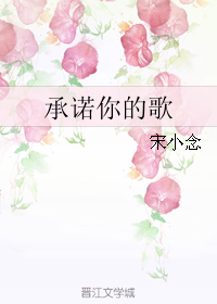 《承诺你的歌》 作者：宋小念 txt文件大小：261.21 KB