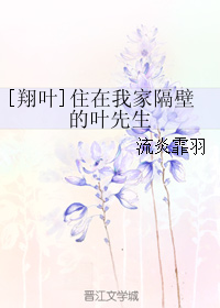 《（全职同人）[翔叶]住在我家隔壁的叶先生》 作者：流炎霏羽 txt文件大小：84 KB