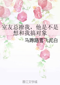 《室友总撩我，他是不是想和我搞对象》 作者：马蹄踏雪飞泥白 txt文件大小：61.25 KB