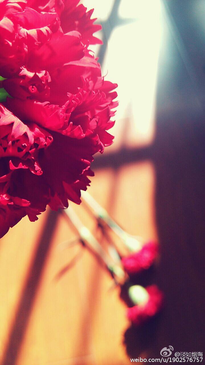 《花开予夏》 作者：淡如海 txt文件大小：337.62 KB