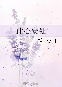 《此心安处》 作者：橙子大了 txt文件大小：142.66 KB