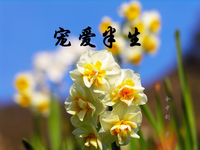 《宠爱半生》 作者：伞中剑 txt文件大小：202.48 KB