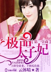 《第一皇商，极品太子妃》 作者：云沐晴 txt文件大小：2.71 MB