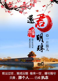 《（历史同人）四八穿越还珠之还君明珠》 作者：一片猫儿 txt文件大小：488.23 KB