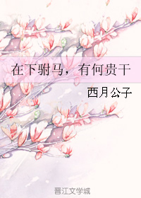 《在下驸马，有何贵干》 作者：西月公子 txt文件大小：401.34 KB