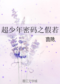 《（ 超少年密码同人）超少年密码之假若》 作者：茴隐 txt文件大小：295.04 KB