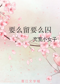 《要么留要么囚》 作者：文荒小女子 txt文件大小：238.51 KB