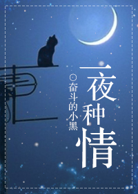《一夜种情》 作者：奋斗的小黑 txt文件大小：85.15 KB